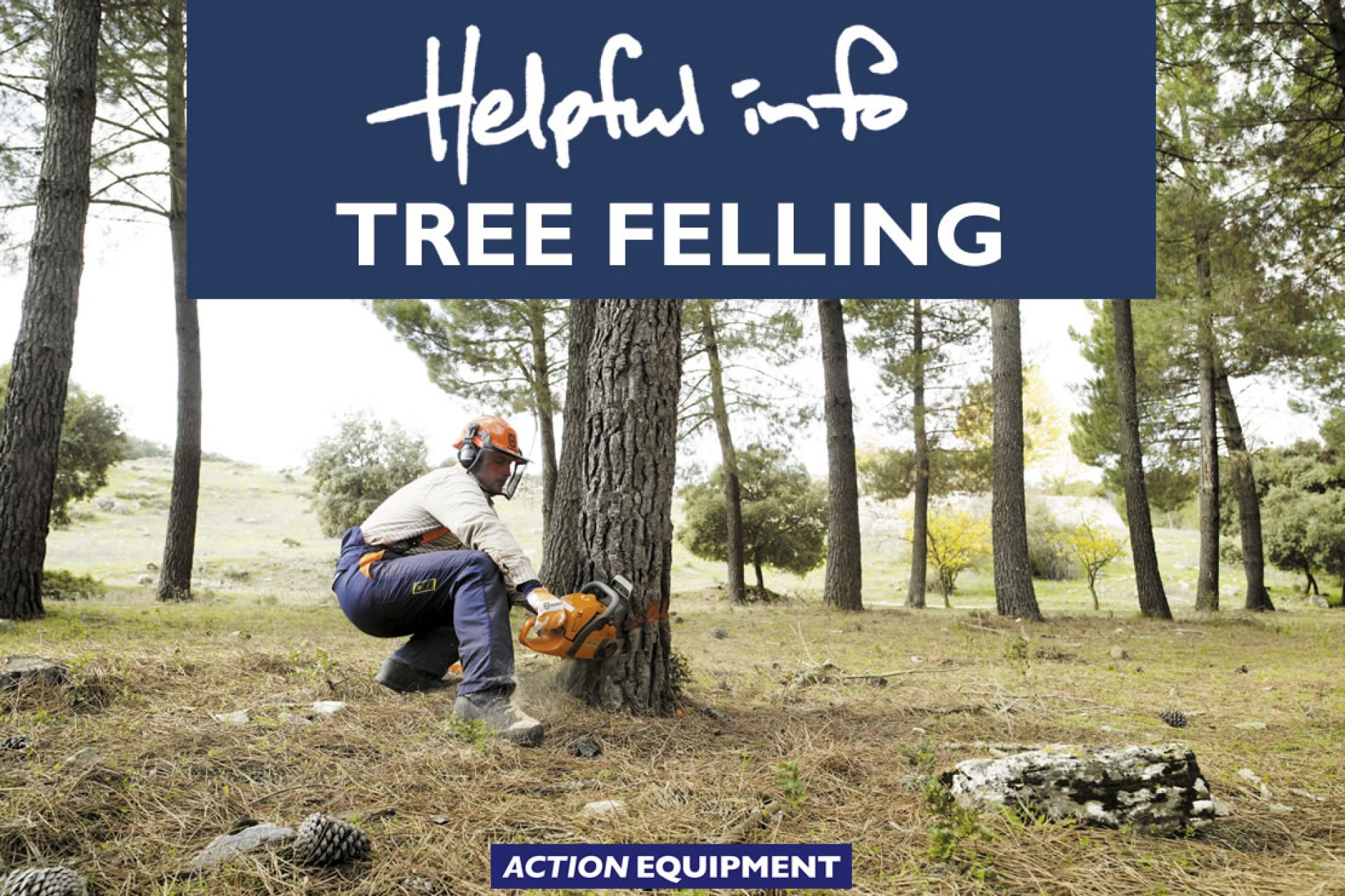 How To  Successful Tree Felling