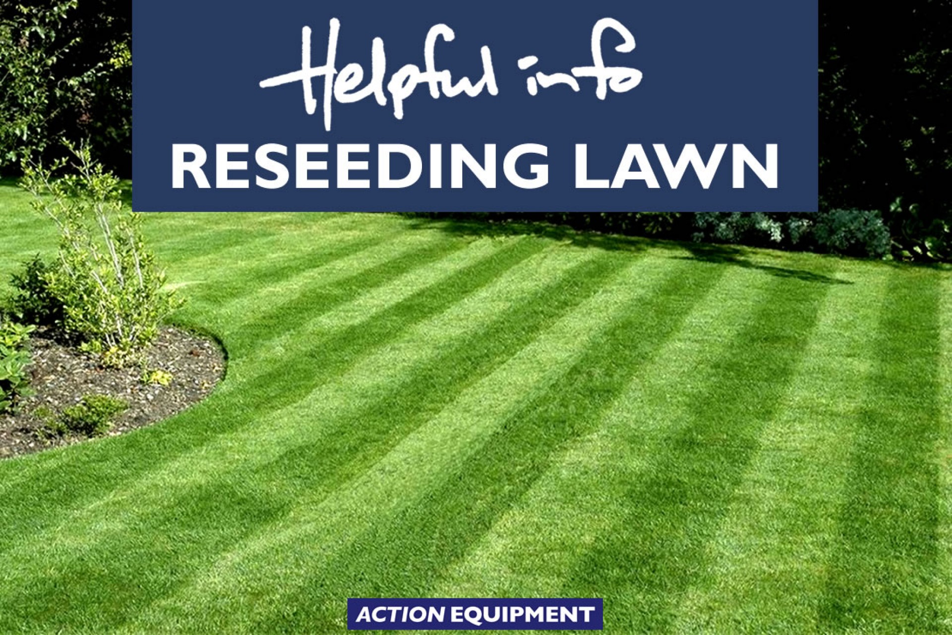 Reseeding lawn