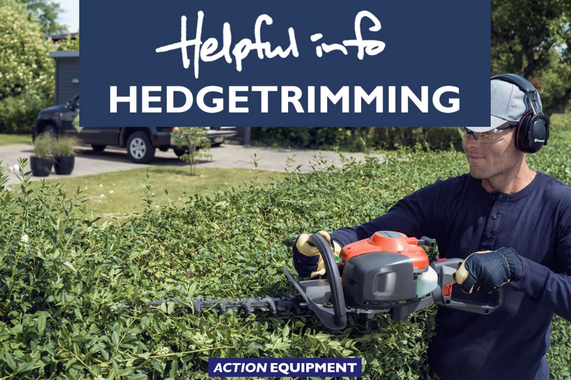 How to trim an overgrown hedge